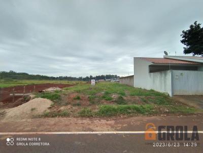 imagem-miniatura
