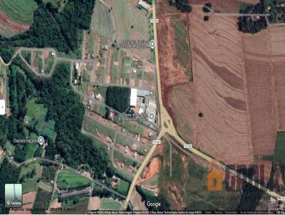 Terreno para Venda, em Araruna, bairro Jardim Botnico