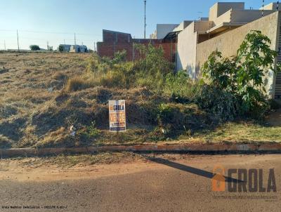 imagem-miniatura