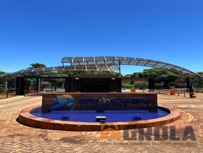 imagem-miniatura