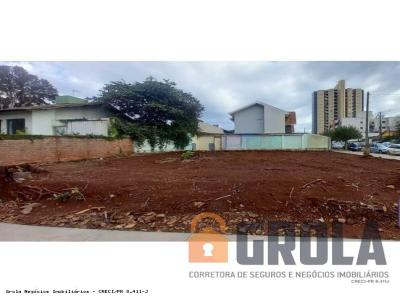 imagem-miniatura