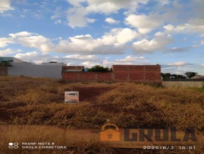 imagem-miniatura