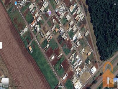 imagem-miniatura