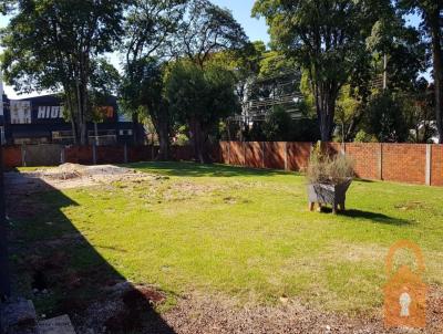 Terreno para Locao, em Campo Mouro, bairro Centro