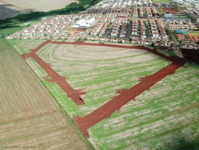 Terreno para Venda, em Cascavel, bairro Jardim Mnaco