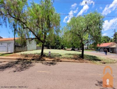 Terreno para Venda, em Campo Mour�o, bairro Jardim Arauc�ria