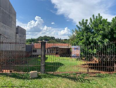 Terreno para Venda, em , bairro Jardim Arauc�ria
