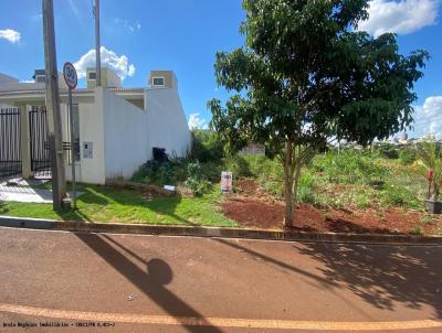 Terreno para Venda, em Campo Mour�o, bairro Novo Centro Universit�rio