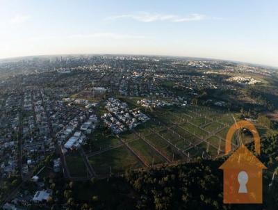 Terreno para Venda, em Cascavel, bairro Universit�rio