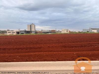 Terreno para Venda, em , bairro Novo Centro
