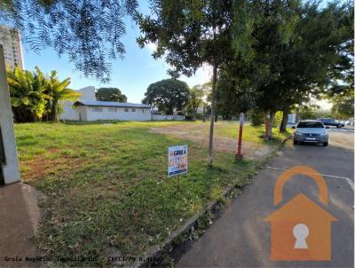 Terreno Comercial para Venda, em Campo Mour�o, bairro Centro